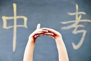 教育咨詢 為您詳細解讀中考招生政策與辦公服務(wù)